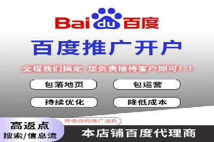 某电商平台的SEM推广实战经验